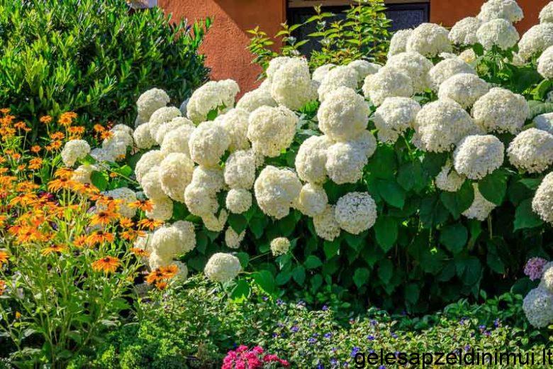 h13ZBacfSuFYebj6bSdAKokYpqtPBBP99dB4TF86-780×520